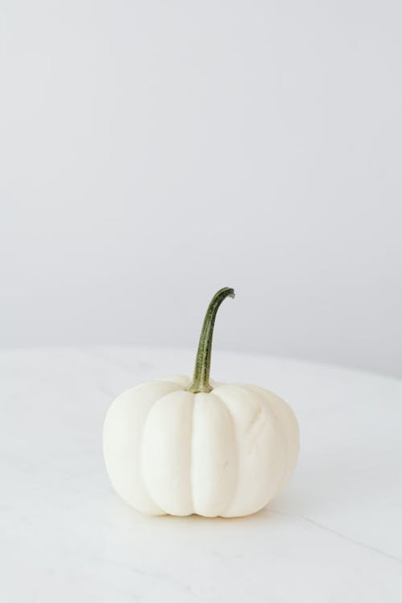 Single large white cream pumpkin alone console table modern minimal fall