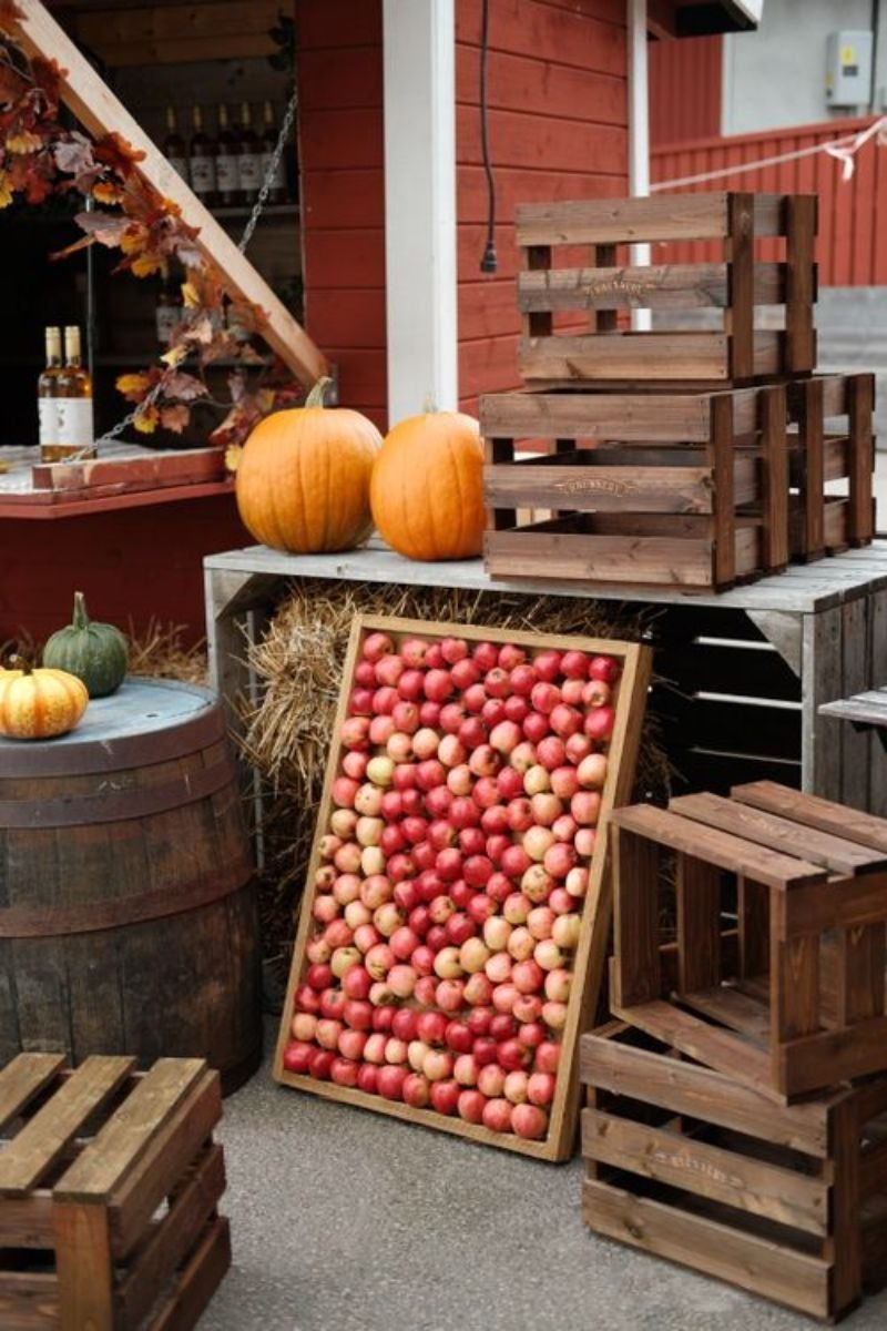 Vintage wooden crate apples mini pumpkins dried wheat farmhouse fall kitchen