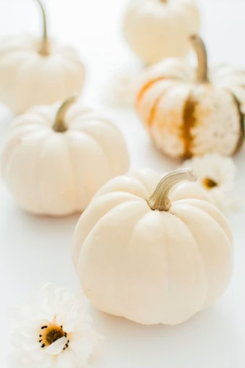 White mini pumpkin place card gold lettering guest name elegant Halloween table