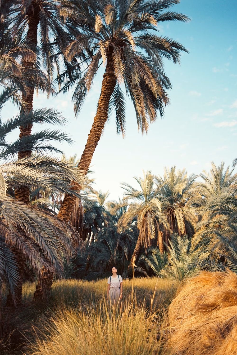 Siwa Oasis Egypt mystic outlands destination