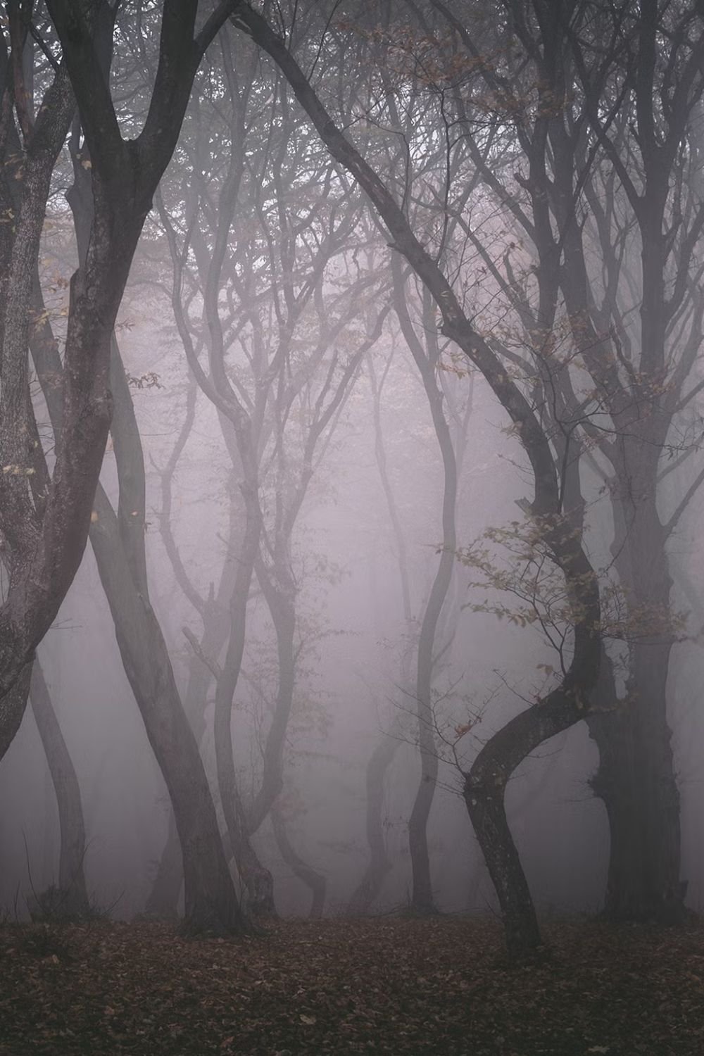Transylvania Romania mystic outlands destination
