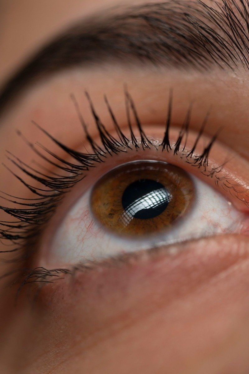 Close-up of feathered natural false lashes applied on an eye