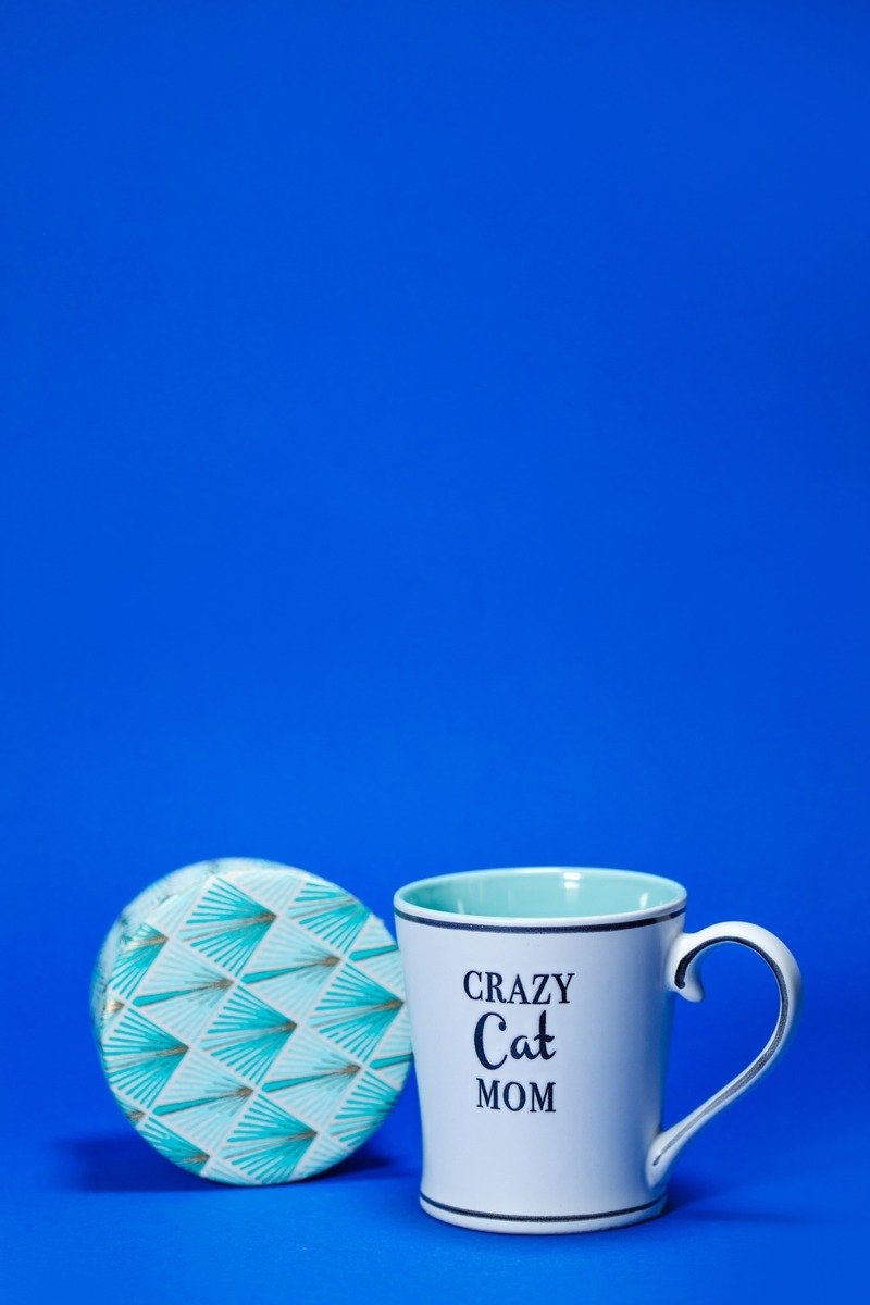 Funny coffee mug wrapped as a secret santa gift
