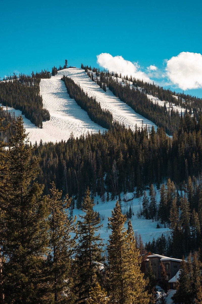 Groomed ski runs winding through evergreen forest on a sunny day