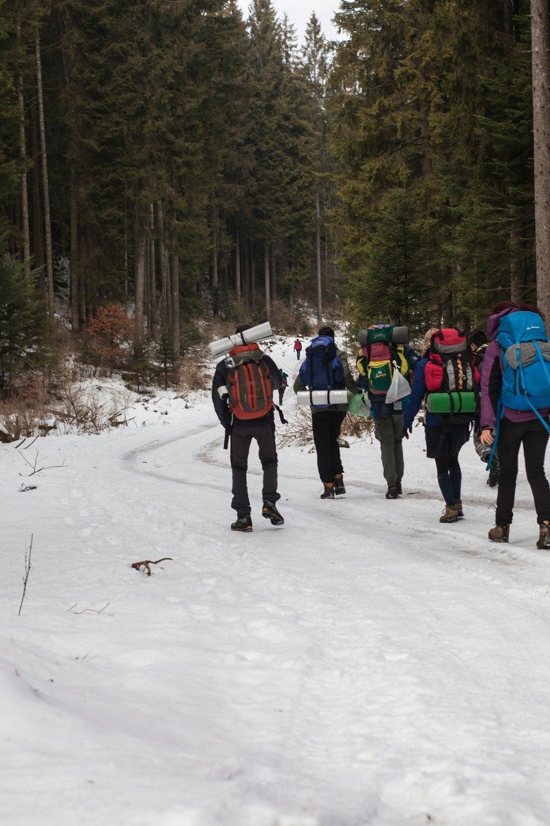 Winter hike on a snowy forest trail