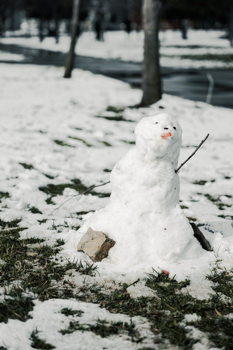Snowman standing on a lawn