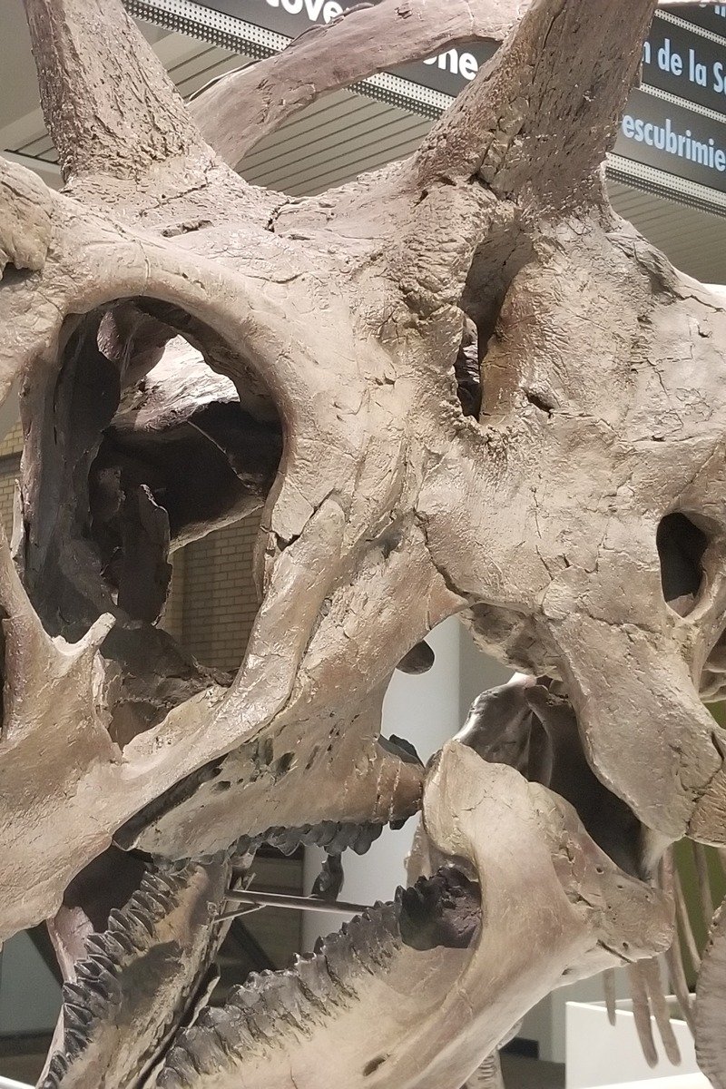 Denver Museum of Nature and Science