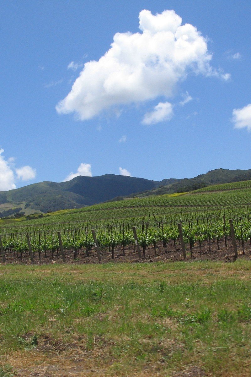Thanksgiving getaways Santa Barbara California