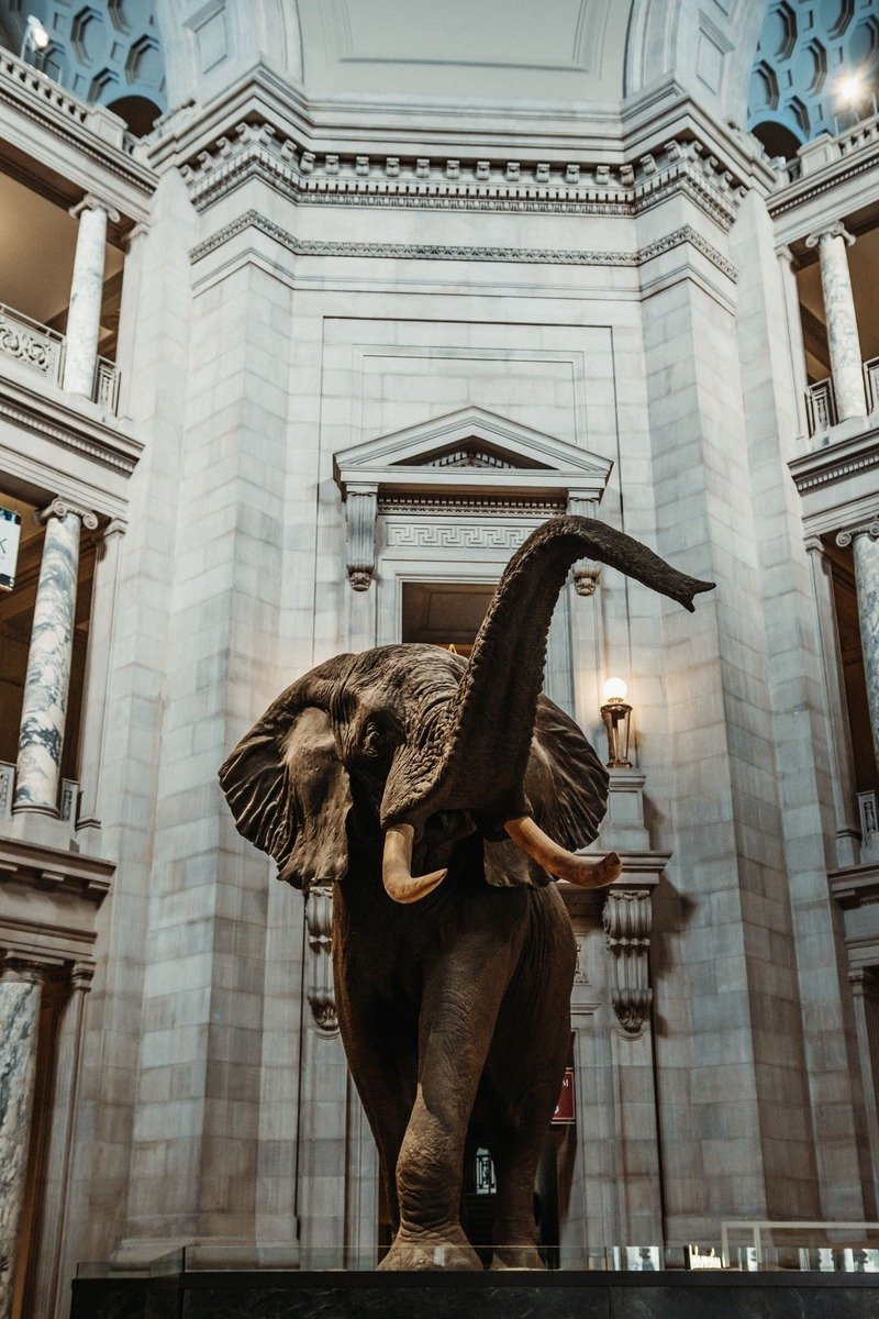 National Museum of Natural History Washington DC