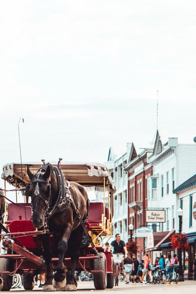 Mackinac Island Michigan main street with horse drawn carriage