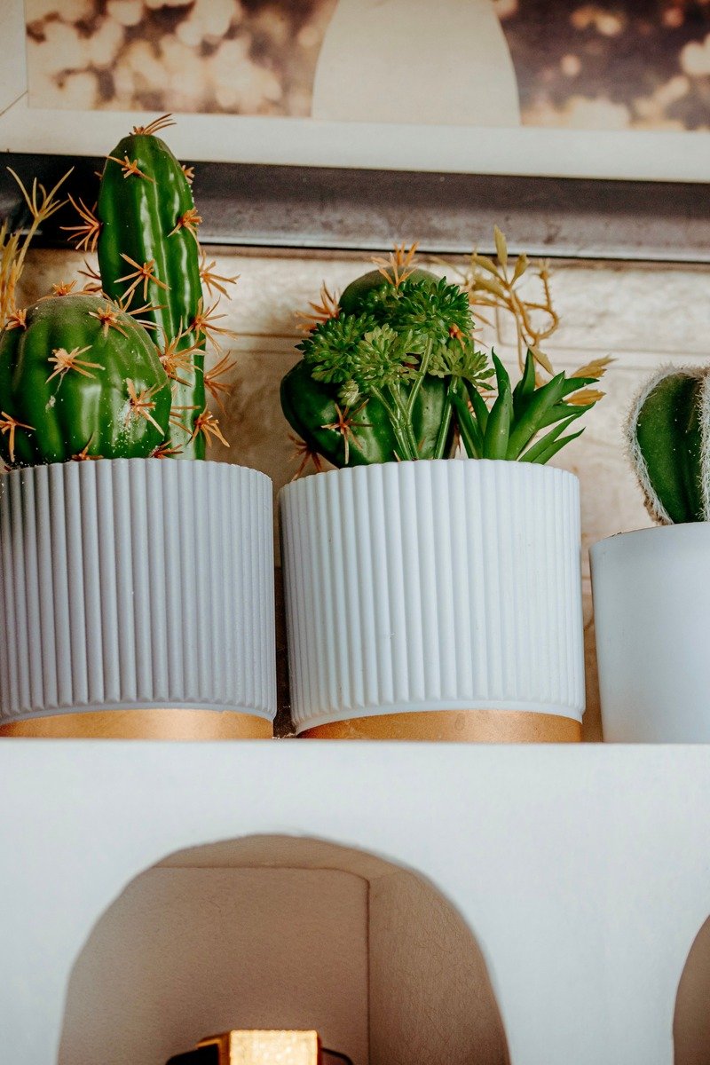 Small potted plants in a row on a mantel