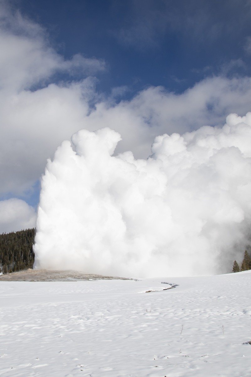 Old Faithful geyser in Yellowstone in winter
