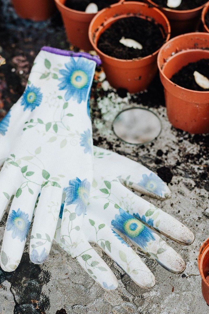 Floral gardening gloves beside small pots of seeds