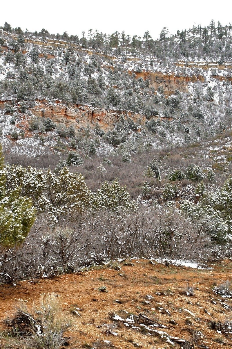 Zion National Park in winter with snow on red cliffs