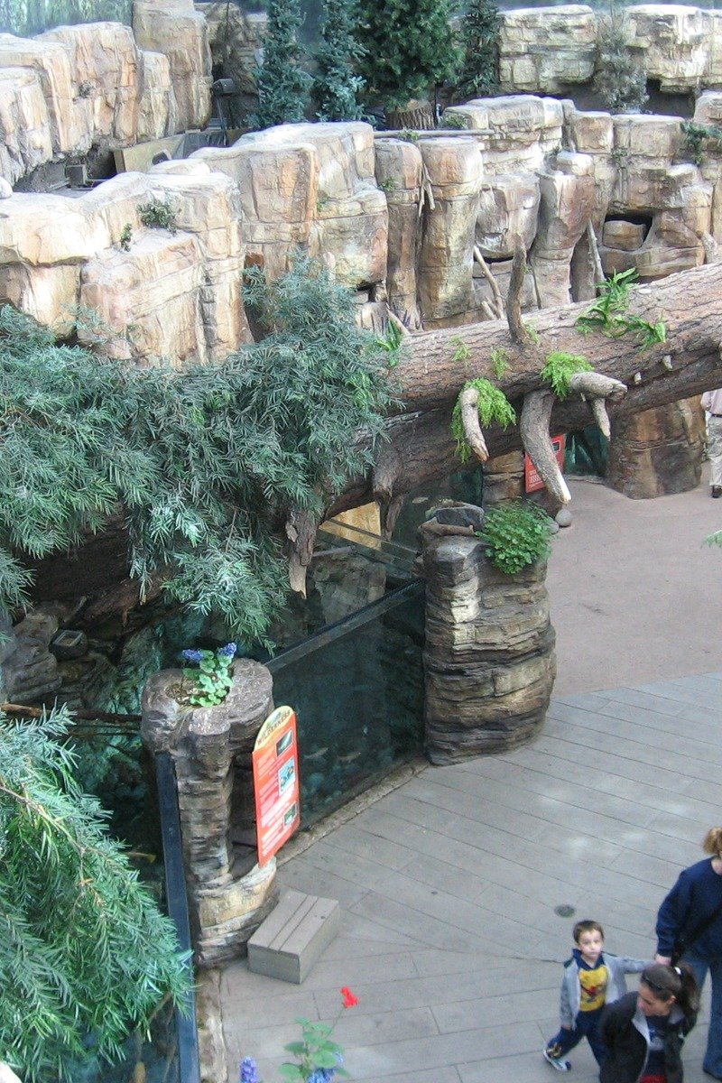 Downtown Aquarium Denver exhibits