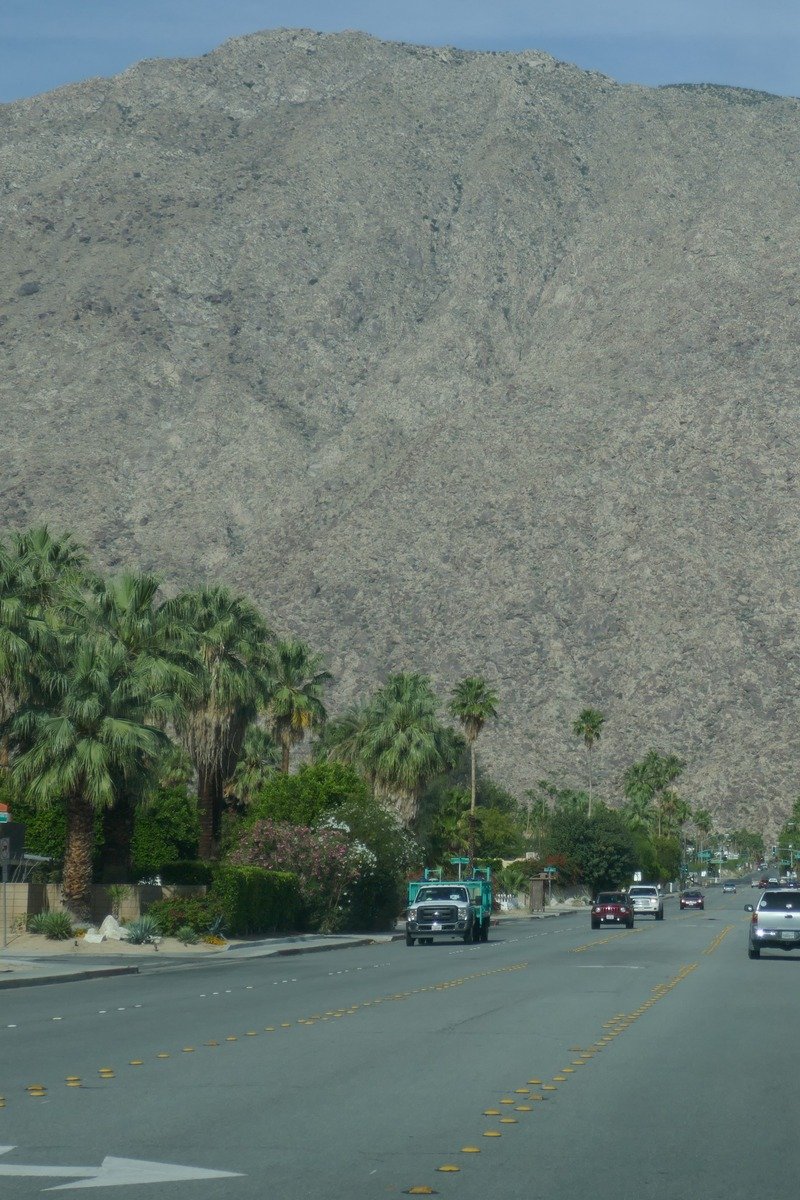 Palm Springs California with palm trees and mountains