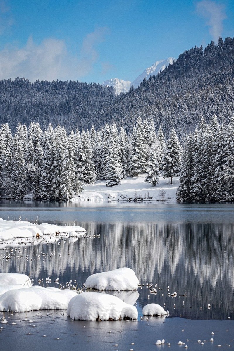 Snow-covered evergreens mirrored in a calm mountain lake under blue winter sky