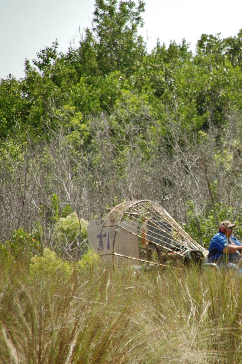 Everglades Florida airboat wetlands