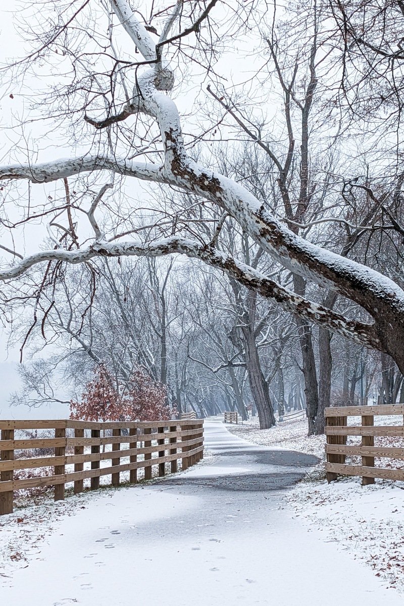 Snow-dusted riverside walking trail with wooden fences and bare winter trees