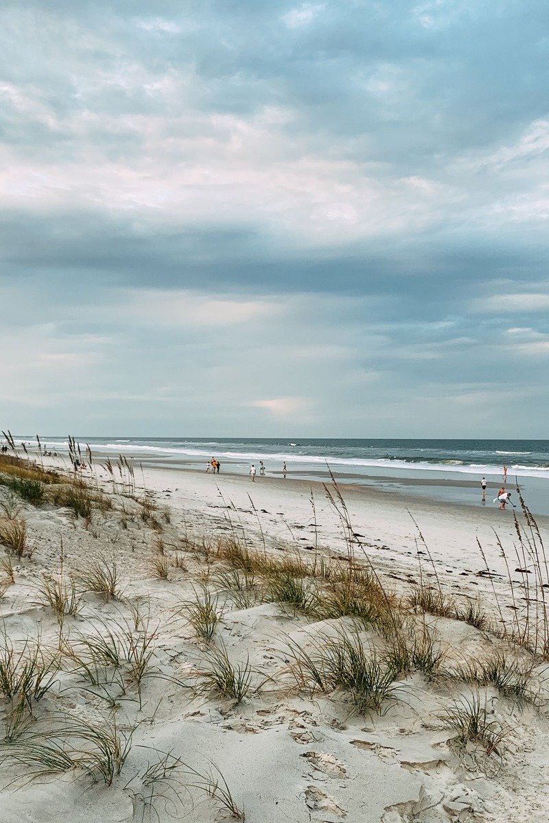 Beach dunes in the Outer Banks North Carolina