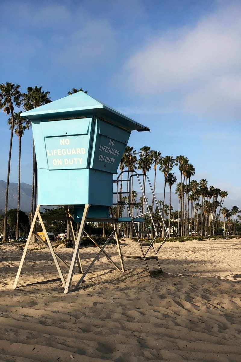 Santa Barbara California beach and palm trees