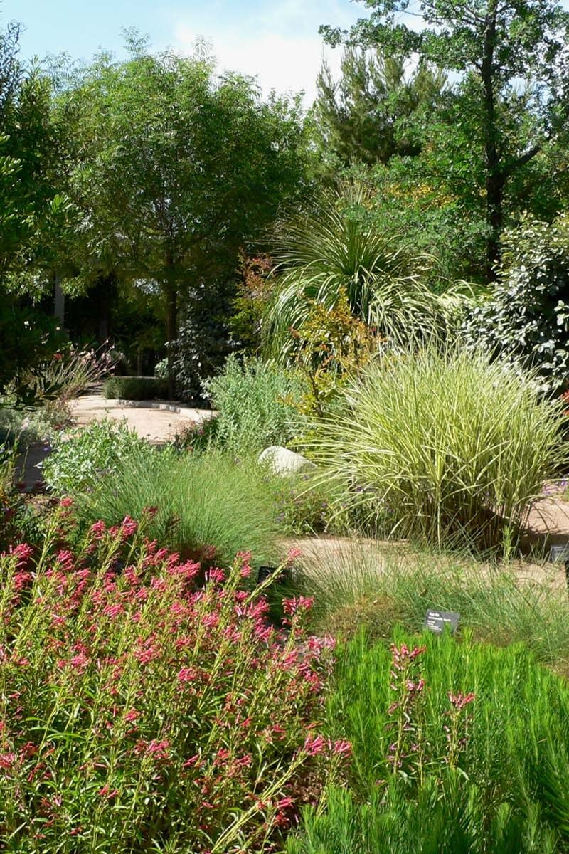 Springs Preserve Las Vegas gardens