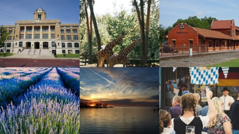 Collage of things to do in Gainesville TX including the courthouse, zoo, and lavender farm