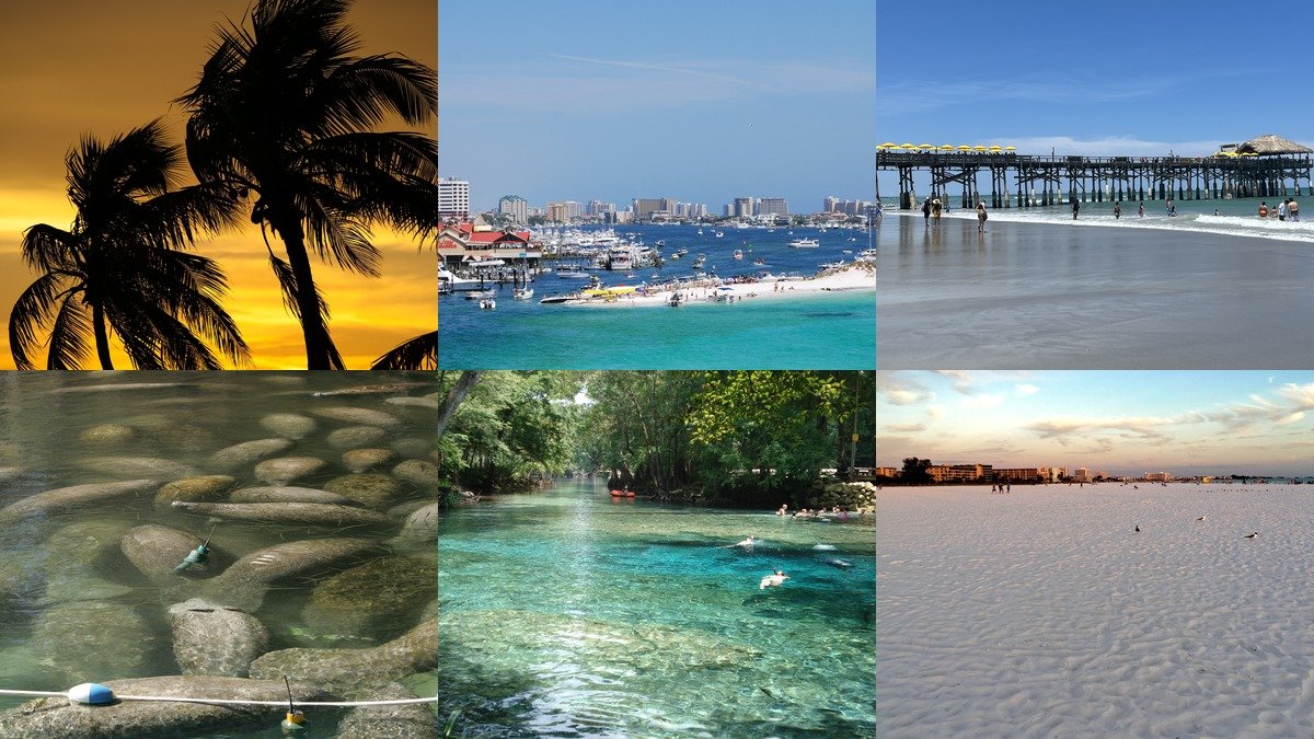 Collage of spring break in Florida with beaches and palm trees