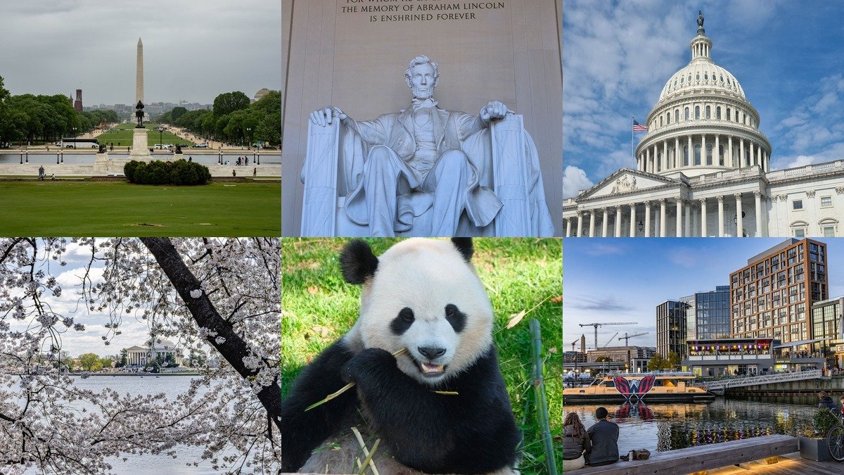 Collage of things to do in Washington DC with memorials and museums